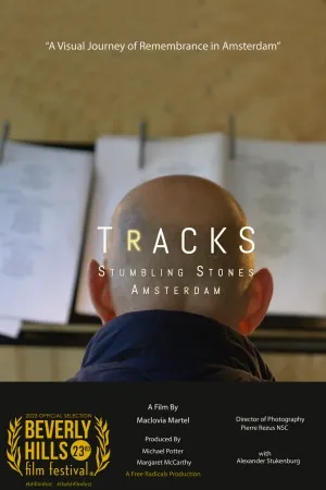 Tracks: Stumbling Stones