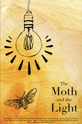 Moth and light
