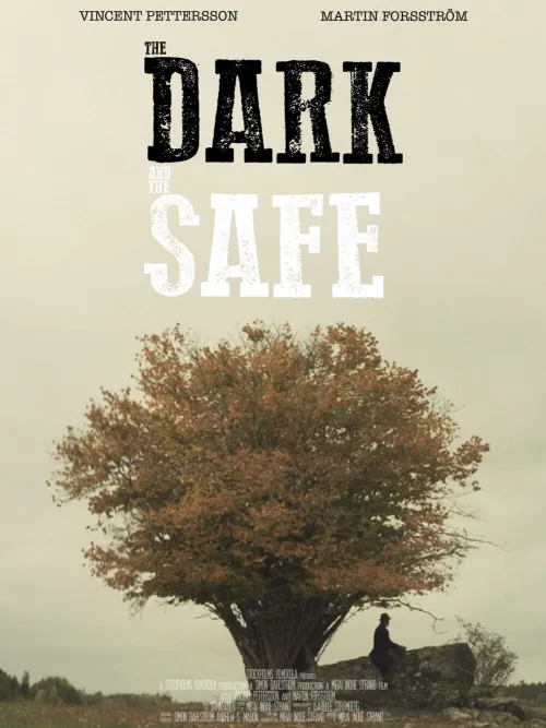 The Dark and The Safe