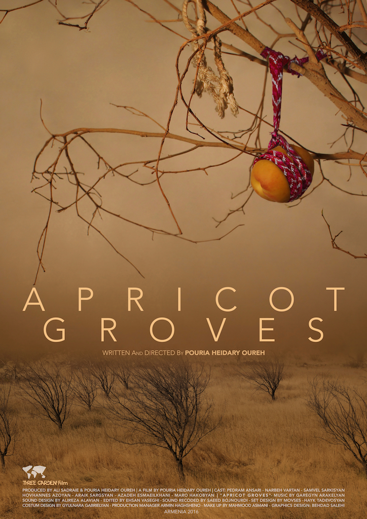 Apricot Groves